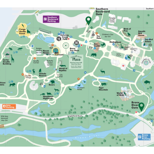 Memberships - Bronx Zoo