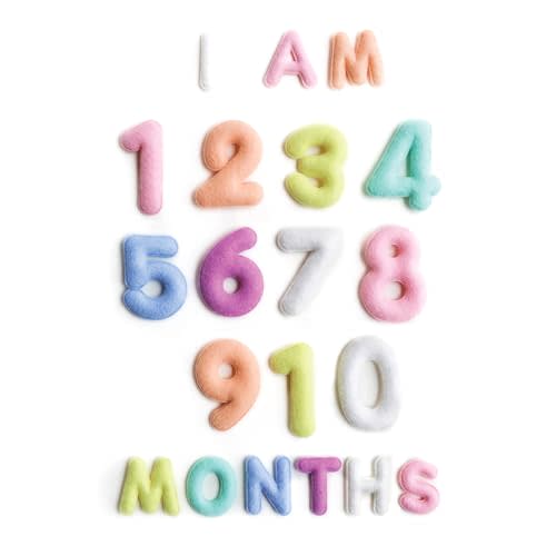 Lucy Darling Felt Baby Monthly Milestone Numbers – Signs & Photo Props – Soft Letters & Numbers for Baby Announcement, Newborn Photography – Pastel