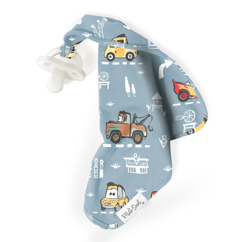 DISNEY AND PIXAR CARS MAP LOVEY