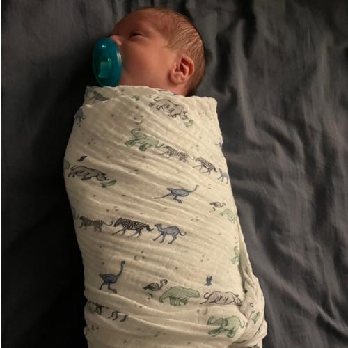 Newborn Photo Shoot