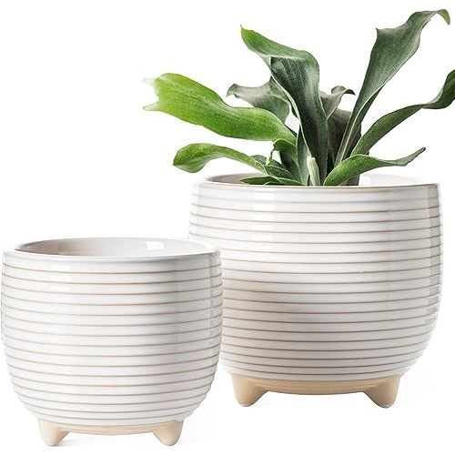 LE TAUCI Ceramic Plant Pots, 5.1 + 6.4 Inch Footed Pots for Plants, Modern Flower Pots for Home and Office, Indoor Planters with Drainage, Reactive Glaze White