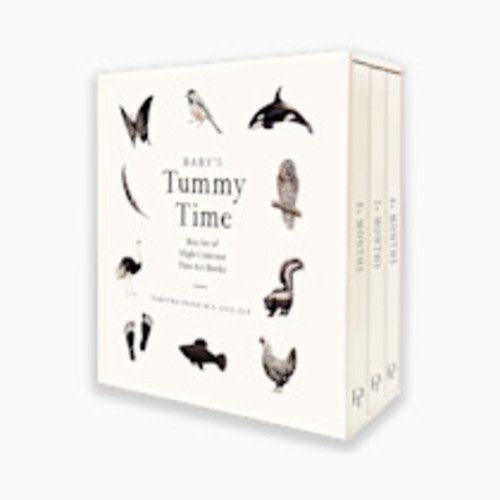 Baby's Tummy Time Book Box Set: A 3-Book Box Set of High-Contrast Art for Visual Stimulation at Tummy Time (Tabitha Paige Children's Book Series)