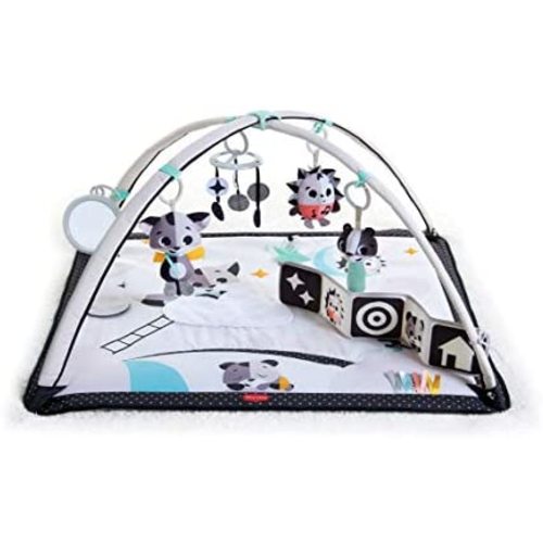 Tiny Love Black & White Gymini Infant Activity Play Mat With-Book, Magical Tales, Deluxe, 1