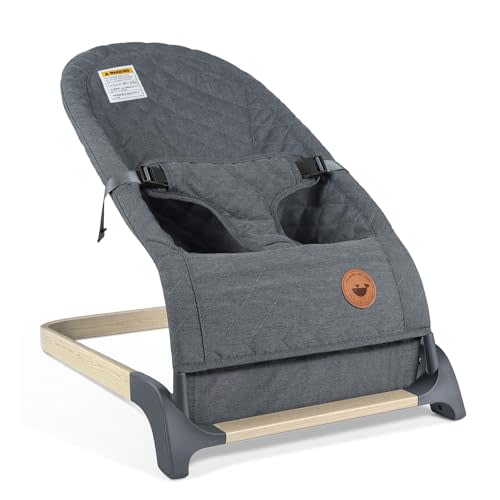 ANGELBLISS Baby Bouncer Seat for Infants, Portable Bouncy Seat, Grey | Natural vibrations, soft fabric, ergonomic support, easy-clean cover, foldable frame, and newborn-friendly comfort