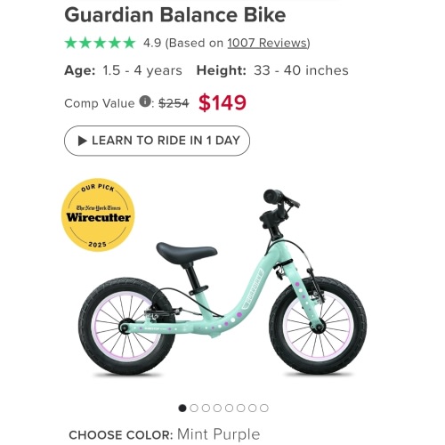 Guardian Balance Bike - Mint Purple