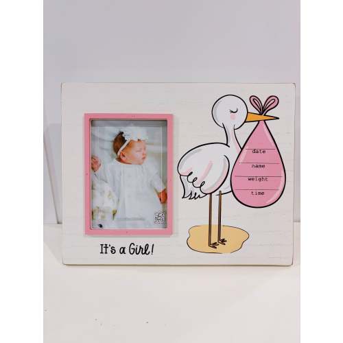 Its a Girl Stork Frame