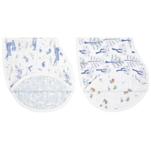 Organic Burpy Bib (2 Pack)