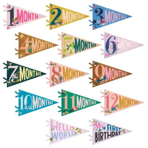 Floral Baby Milestone Pennants – Monthly Photo Props, Birth to 12 Months