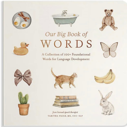 Our Big Book of First Words: A Collection of 100+ Foundational Words for Language Development (Tabitha Paige Children's Book Series)