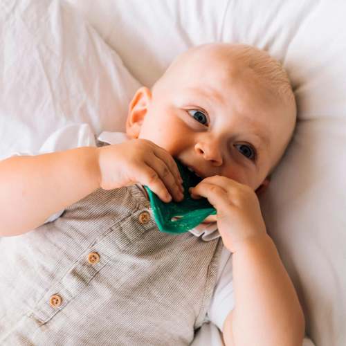 Chlorophyll Leaf Teether – Oli&Carol US