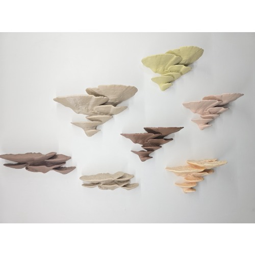 Turkey Tail Mushroom Shelf | 3D Printed Cottagecore Wall Decor | Nature Home Accent | Custom Color