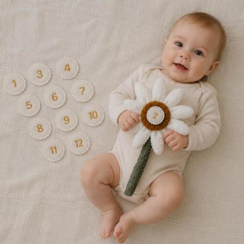 Baby Milestone Flower Marker, Monthly Baby Milestone, Daisy Photo Prop, 1-12 Month Marker, First Year Baby Keepsake, Newborn Photo Prop