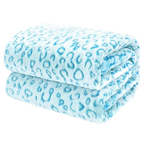 Blue Gifts for Women, Blue Throw Blanket for Couch Bed, Soft Warm Fleece Throw Blanket, Fluffy Fuzzy Plush Cozy Blanket, Light Sky Blue Throw Blankets, Microfiber Lightweight Warm Blanket, Home Decor