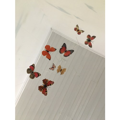 Butterfly Mobile: Decorative Hanging mobile