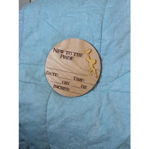 Lion inspired birth announcement photo prop