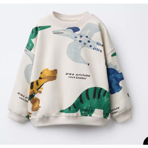 DINOSAUR PRINT SWEATSHIRT - Ice | ZARA United States
