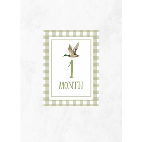 Green Mallard Milestone Cards | Baby Shower Gift | Duck Theme | Baby Photos | Months 1-12