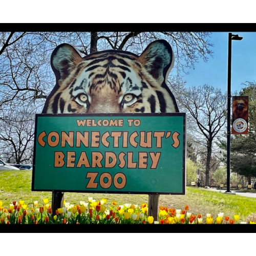 Local activity passes/membership gift cards