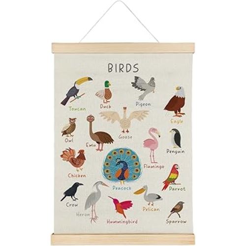 SereneHanctuary Bird Wall Art, Boho Educational Nursery Wall Decor, Birds Animal Poster Hanger Frame for Toddler Kids Room Bedroom Nursery Playroom Classroom Decor,12x16 Inches