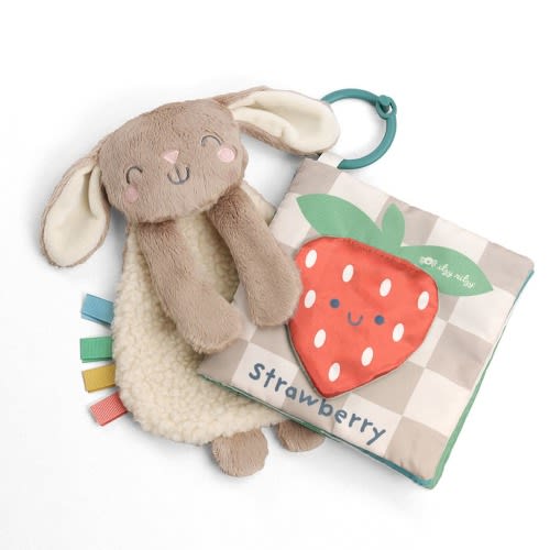 Itzy Learn & Snuggle Gift Set™ – Itzy Ritzy