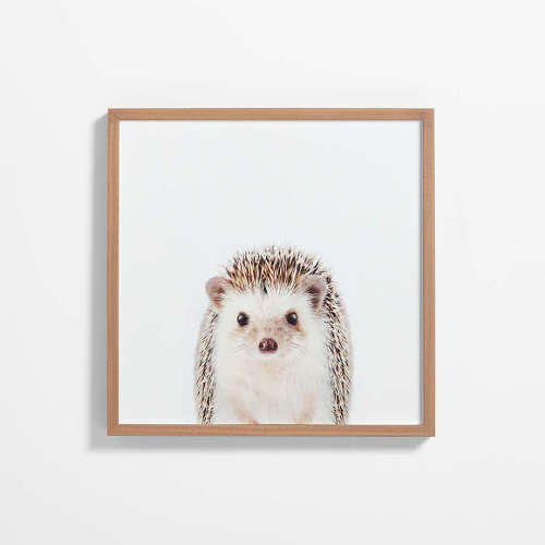 Baby Hedgehog Walnut Wood Framed Wall Art Print