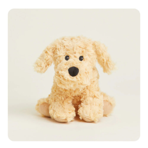 Golden Dog Warmies Junior