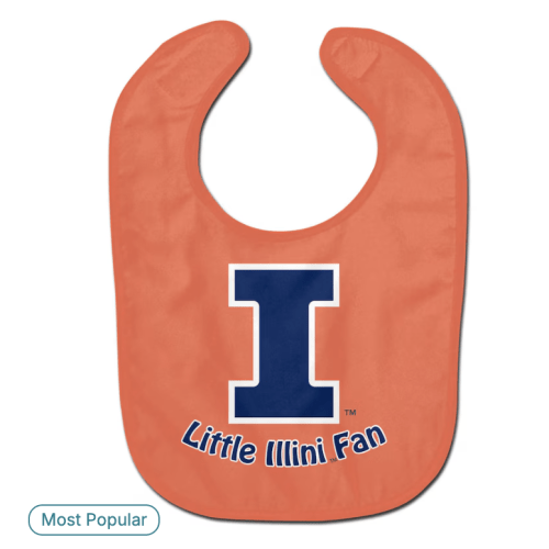 Illinois Fighting Illini WinCraft Newborn & Infant Mini Fan All-Pro Baby Bib