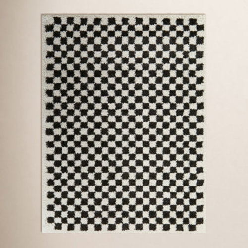 AllModern Walker Checkered Charcoal/Cream Shag Area Rug & Reviews | Wayfair
