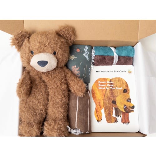 Baby boy gift box, baby boy shower gift, Book, Bodysuits, newborn baby gift, baby gift basket, baby Bear gift basket