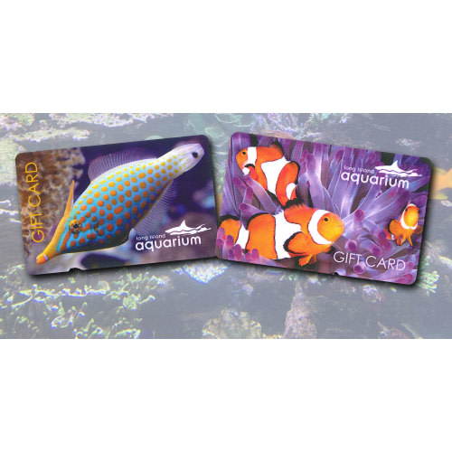 Long Island Aquarium Gift Card