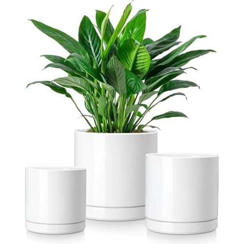 vancasso Ceramic Plant Pots, 3 Piece Planters for Indoor Plants, 4.25+5.25+6.25 Inch Flower Pots with Drainage, Plant Pots Indoor for Succulent, Pothos, Snake Plant and Money Tree, Etc (White)