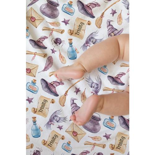 Personalized Wizard School Minky Baby Blanket: Magic Owl Bedding