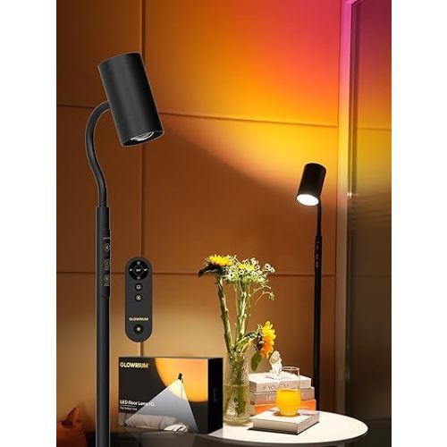 Reading Floor Lamp H2,Dual-Side RGB Floor Lamps for Children's Room,5 Color Temperatures and 5 Atmosphere Lighting Modes,Adjustable Gooseneck Reading Floor Lamp for Home and Office