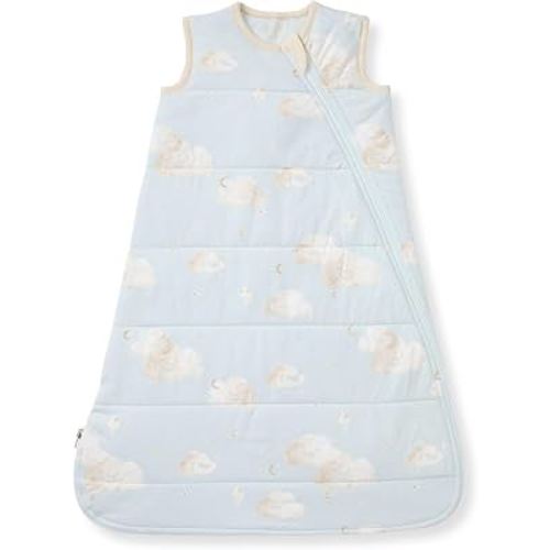 Burt's Bees Baby Baby Organic Beekeeper Infant Wearable Blanket, Unisex Swaddle