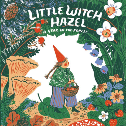 Little Witch Hazel: A Year in the Forest