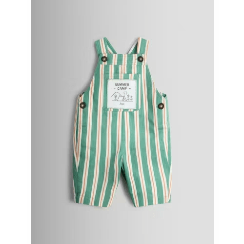 Green Stripe Printed Twill Dungaree