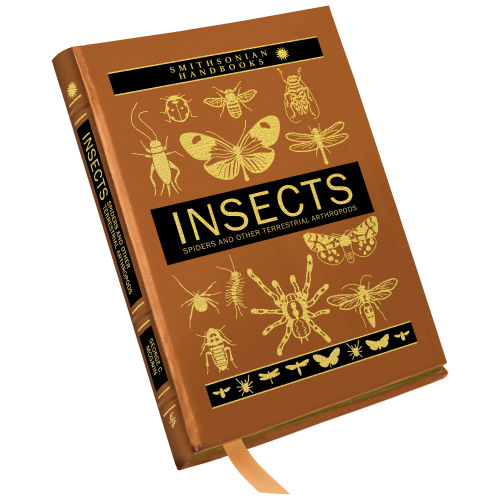 Smithsonian: Insects