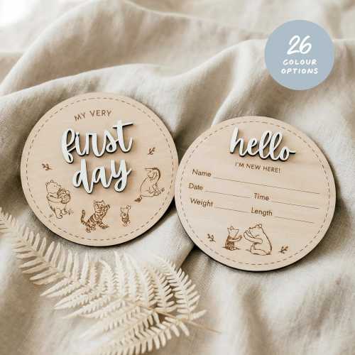 Classic Winnie the Pooh Birth Announcement Sign with 3D Hand-Painted Lettering