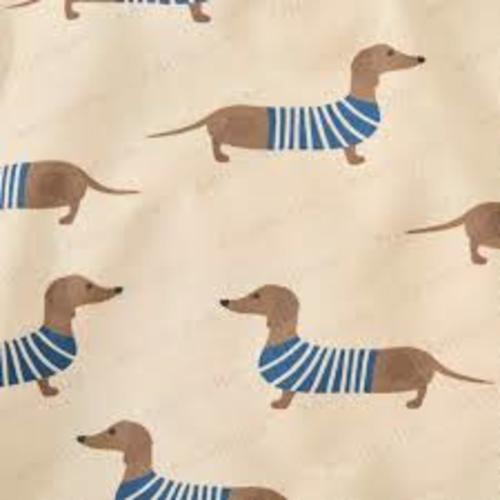 Baby Dachshund 2-piece Beige Set - Google Search