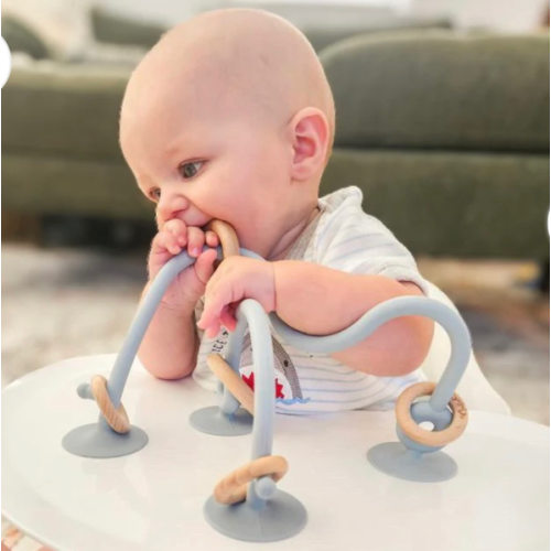 On-The-Go Suction Toy – Calla and Friends
