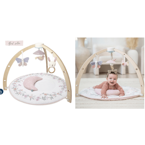 Baby Gym | Premium Baby Activity Gym | aden + anais