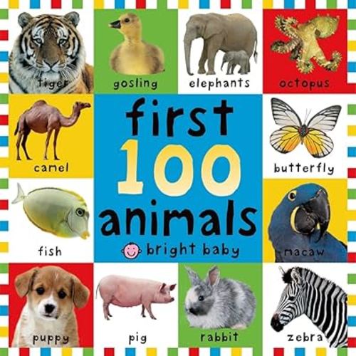 Big Board First 100 Animals (First Words)