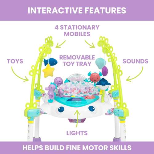 Deluxe Bounceroo Learn2Walk Balancer Baby Walker