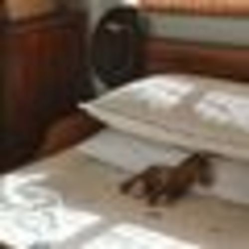 Vintage Country- Cowboy Muslin Crib Sheet
