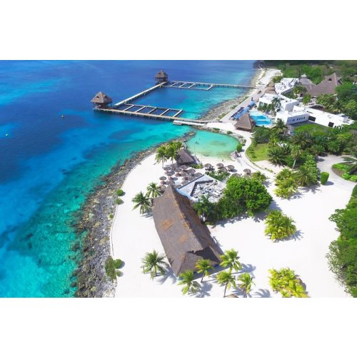Cozumel Chankanaab Day Pass & Marine Animal Encounters