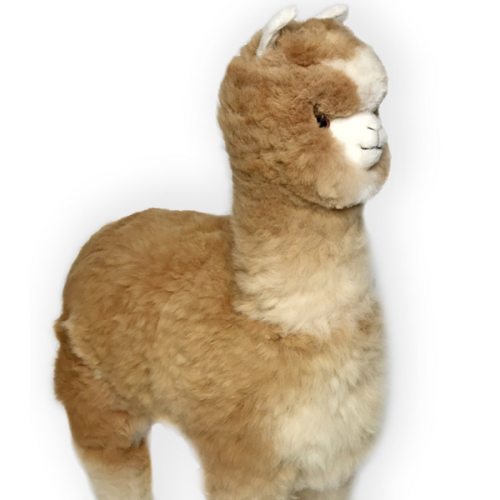 Al - A Life Sized 36" Peruvian Alpaca Figure - Giant Stuffed Alpaca Over 3ft Tall | Sun Valley Alpaca Co.