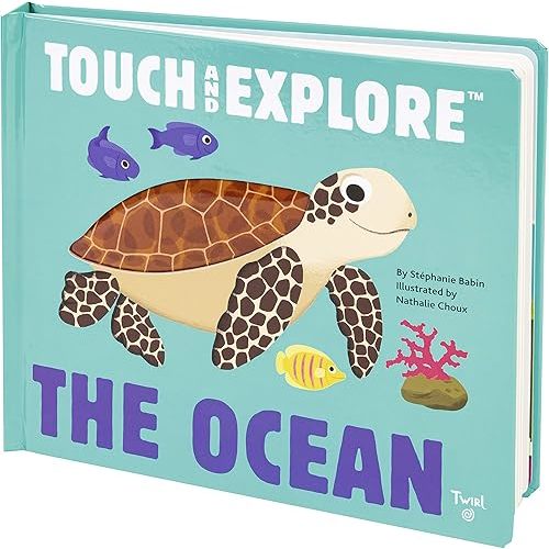 The Ocean (Touch and Explore) (Touch and Explore, 1) Novelty Book – Touch & Feel, April 5, 2016