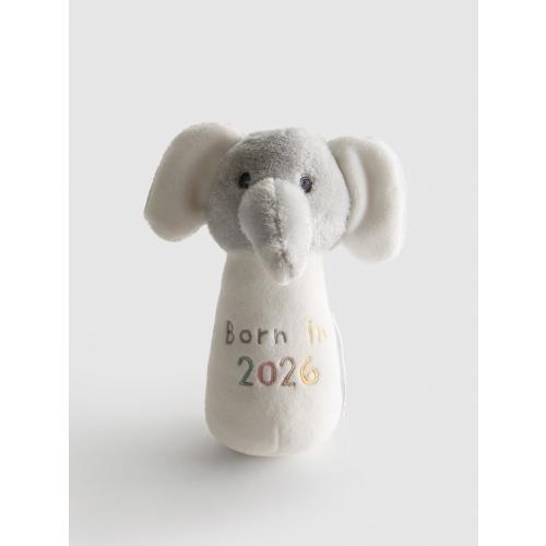 Born in 2026 Rattle Toy