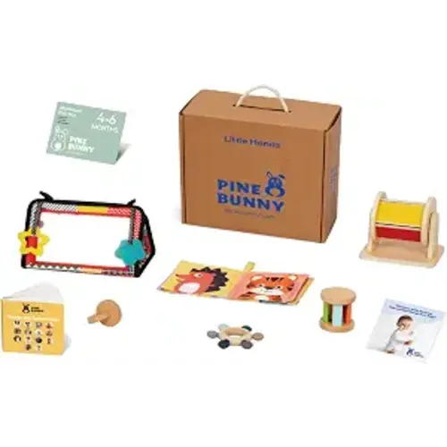 Pine Bunny Montessori Wooden 9-in-1 Toy Set for 4+ Months, Silicone Teether, Interlocking Discs, Mirror Toy, Wooden Bell Cylinder, Cloth Book, Spinning Drum, Educational Learning Sensory Development