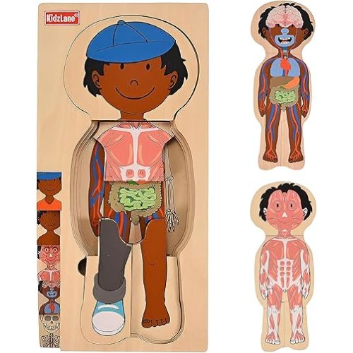 Kidzlane African American Boy Wooden My Body Puzzle for Toddlers - 29 Piece Girls Anatomy Puzzle Kid Play Set - Anatomy for Kids, Skeleton Toys for Kids Ages 3 Plus